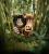 Szenenbild: "Early Man - Steinzeit bereit" (2018)<br>
Dug und sein Wildschwein schauen aus dem Gebüsch heraus.