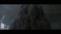 Chewie in herzlicher Begegnung mit einem anderen Wookie. Der etwas schmaleren Statur nach zu urteilen, handelt es sich vermutlich um einen weiblichen Wookie und damit möglicherweise um Chewis Frau Malla.