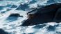 Eclipse, ein Tarnkappenbomber, gehört zu den neuen Schiffen des Update 3.2.