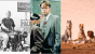 Szenenbilder aus "Gesprengte Ketten" (1963), "Die Verurteilten" (1994) und "Isle of Dogs" (2018)