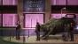 Unavowed im Test - Review des Mystery-Adventures