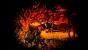 Schon zu Beginn beider Yomawari-Spiele in der The Long Night Collection wird schnell klar, dass es reichlich düster und mitunter sehr brutal zugeht.