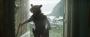 Ist Rocket Racoon auf der Suche nach Thor?&nbsp;
