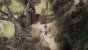 Spellforce 3: Soul Harvest im Test