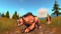Die Abozahlen haben sich seit dem Launch von World of Warcraft Classic verdoppelt. (8)