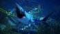 Maneater: Maneater in der Hands-on-Vorschau: Dieser Hai hat euch zum Fressen gern! (3)