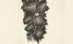 Im ersten Inselteil findet ihr sieben Bambusstände.