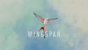 Wingspan im Test: Board-Game-Adaption frisch aus dem Ei gepellt (1)