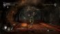 Kein Dark-Fantasy-Rollenspiel ohne Riesenspinne: Wer an Arachnophobie leidet, der sollte sich lieber zweimal überlegen ob er sich eines der Souls-Spiele antut ... <br> &nbsp;