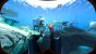 Subnautica Below Zero - Einsteiger-Tipps im Überlebensratgeber