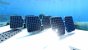 Das Solarmodul&nbsp;