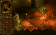 Der Quellcode von Bullfrogs Kerker-Management-Kracher Dungeon Keeper (1997) ist über 800.000 Zeilen stark. Die Entwicklungszeit beträgt mehr als zwei Jahre.