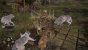 Elden Ring: Trotz Open World ein Souls-Spiel in Reinkultur - Warum From Softwares Design auch in Elden Ring zündet! (8)