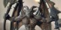 Der Gargoyle aus der Nahansicht: Die Figuren wurden liebevoll gestaltet.