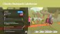 OlliOlli World: Das Skateboard-Abenteuer im Test! (4)