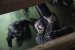 The Walking Dead - das große Finale: Dreister geht's kaum! (4)