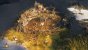 Spellforce: Conquest of Eo im Test