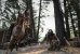 Prey in der Filmkritik: Wie gut ist der neue Predator-Film auf Disney+? (5)