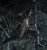 Prey in der Filmkritik: Wie gut ist der neue Predator-Film auf Disney+? (7)