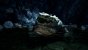 The Chant angespielt: Third-Person-Horror-Adventure in der Gamescom-Vorschau. (9)