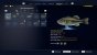 Unser bisher bester Fang. Diamant ist die höchste Qualitätsstufe eines Fisches.