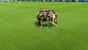 Bei den Frauen-Ligen war EA etwas geizig: Die Bundesliga ist beispielsweise nicht mit dabei.