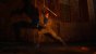 Gotham Knights im Test: Screenshots aus der PS5-Version (via Fotomodus)