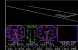 Diese wirre Ansammlung an Strichen sollte eine Landebahn in Flight Simulator darstellen und brachte den Prozessor des Apple-II-Computers zum Kochen.&nbsp;
