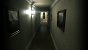 P.T. Demo