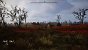 STALKER 2 04 Details Episch