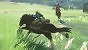 Die riesige Welt von The Legend of Zelda: Breath of the Wild kann vom Spieler nach Lust und Laune erkundet werden.