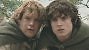 Wird im neuen Film von Der Herr der Ringe endlich der fünfte Hobbit zu sehen sein? (2)