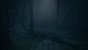 An dieser Stelle müsst ihr mit der Draisine anhalten und dem Gleis nach rechts in den Wald folgen.