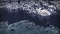 <strong>Don't Starve Elsewhere angekündigt:</strong> Kult-Indie mit Fokus auf Survival-Koop geht weiter (5)