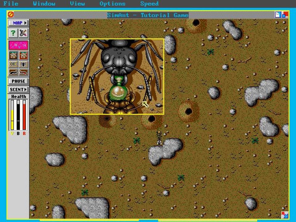 Sim Ant (1991):&nbsp;Sim Ant erschien 1991 für MS-DOS, Windows und Mac. Später folgten Umsetzungen für den Amiga und das SNES. Die Prämisse hinter Sim Ant ist deutlich anders als in Sim City: In der Lebenssimulation kontrolliert ihr die Geschicke eines Ameisenstaats. Aus der Vogelperspektive steuert ihr lediglich ein einzelnes Insekt. Sim Ant besteht aus drei Spielmodi: Quick Game, Full Game oder Experimental Game. Ziel ist es letztlich, nicht nur den Garten, sondern auch das Haus der Menschen zu vereinnahmen. Dabei muss der Spieler die Angriffe der roten Ameisen abwehren oder den Nahrungsmittelhaushalt durch das Legen von Pheromonspuren sichern. Will Wright erklärte später, dass ihm einige in Die Sims eingebauten Mechanismen bei den Arbeiten an Sim Ant einfielen.<br>
 