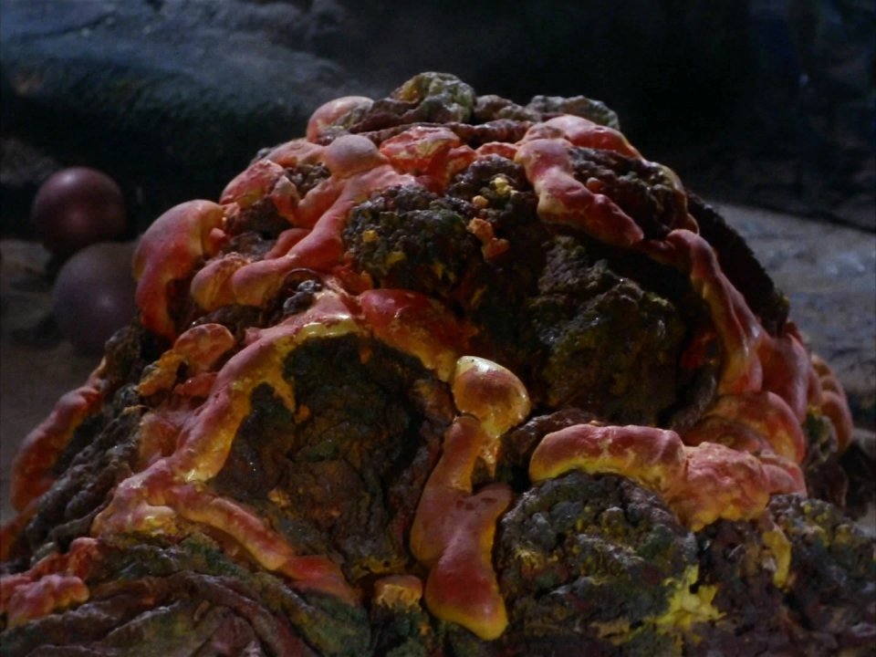 Horta -&nbsp;Die Horta haben eine Menge Charakter und gehören auch ohne einen Gesichtsausdruck oder eine komplexe Kultur zu den ikonischen Star Trek Aliens.