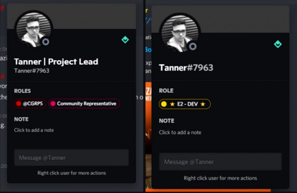 Gleiches Profil, gleicher Entwickler: Tanner wechselte von seinem Posten bei CGRPS auf direktem Wege zu Earth 2, wie man am Discord-Bild erkennt.