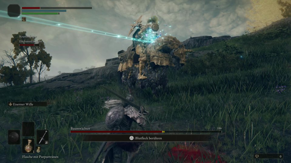 Klassischer Souls-Koop: Wir schlagen uns im Nahkampf mit dem Gegner herum, damit unser Zaubererkollege ungestört schießen kann.&nbsp;