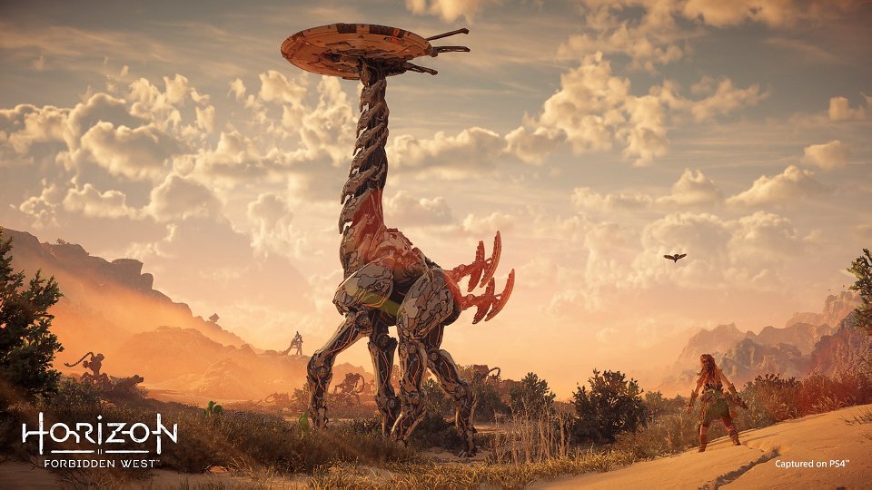 Longneck in der Panorama-Ansicht mit Aloy im Vordergrund klein