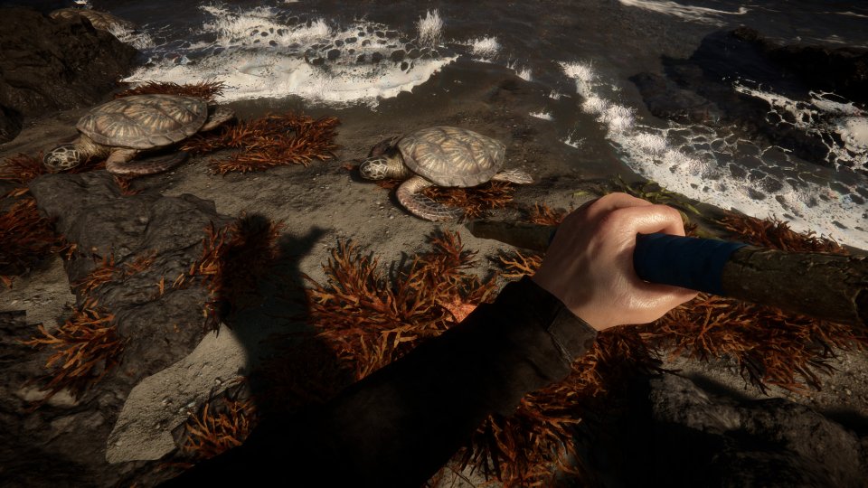 Sons of the Forest in der Vorschau: Die Unterschiede zum Vorgänger sind gewaltig (2)