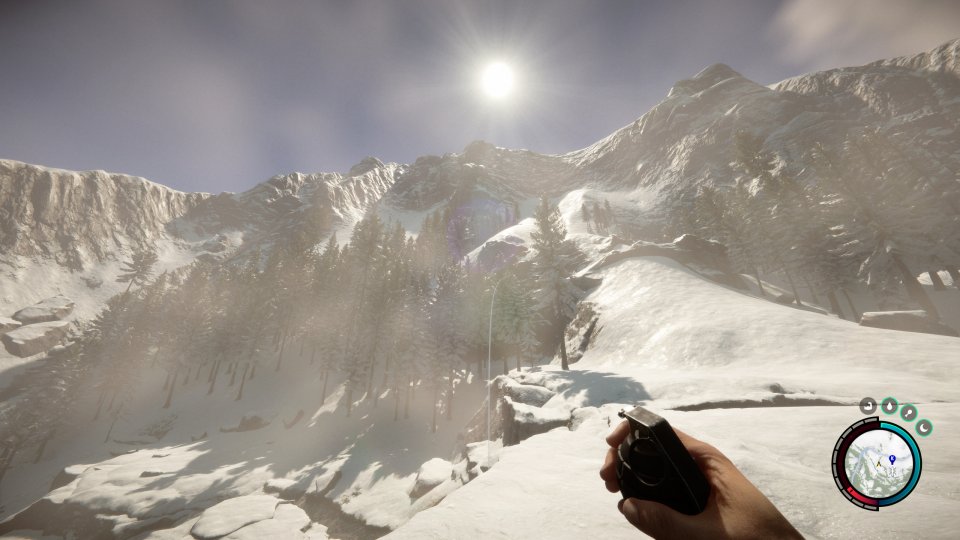 Sons of the Forest im Early-Access-Check: Überlebenstagebuch im schönsten Survival-Spiel aller Zeiten (9)