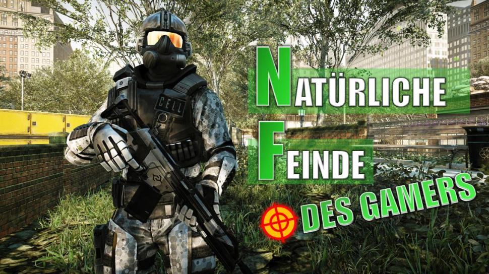 Artikel Vorschau Bild
