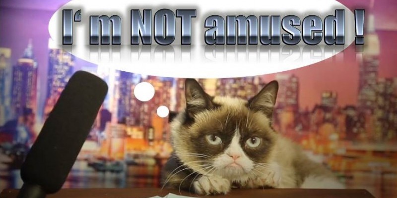 Gegen unsere grimmigen Spielehelden ist Crumpy Cat eine fröhlich immer grinsende Schmusekatze.