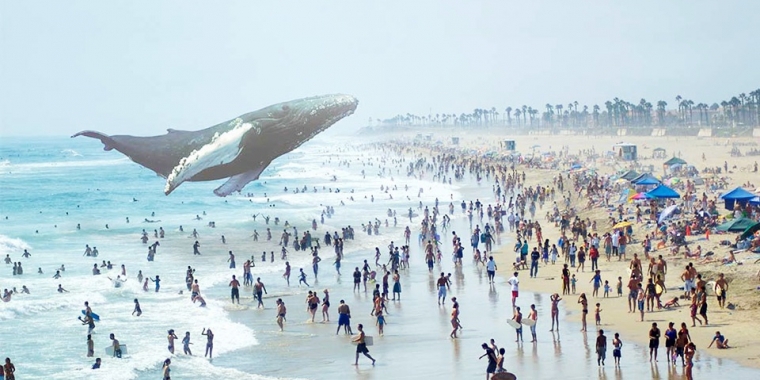 Perfekte Illusion: Einen fliegenden Wal über dem Strand zu sehen, ist dank neuester Technik überraschend real erlebbar. Dabei wird das virtuelle Bild direkt auf die Netzhaut projiziert. (Magic Leap)